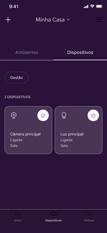Vivo Casa Inteligente pairing — final device list showing the camera and an existing light, both online